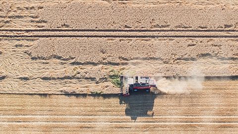 Image: Europe drought