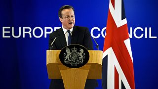 It's a deal: Cameron hails 'special status' for Britain in EU