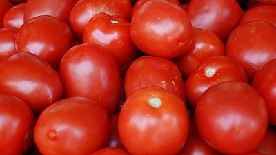 Nigeria: Tomato processors compete with cheap imports