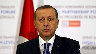 Erdogan says Syria ceasefire plan will only serve to benefit Assad
