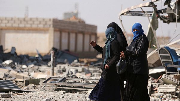 El Consejo de Seguridad de la ONU apoya por unanimidad el alto el fuego en Siria El Consejo de Seguridad de la ONU apoya por unanimidad el alto el fuego en Siria