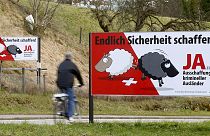 Schweizer Schafe und Hakenkreuz - Durchsetzungsinitiative der SVP