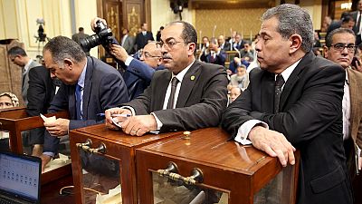Egypt: MP attacks colleague with shoe for meeting Israeli envoy