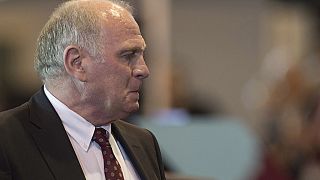 Former Bayern boss Hoeness given early release from jail