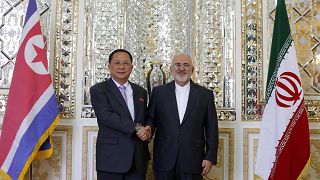 Image: Iran's Foreign Minister Javad Zarif and North Korea's Foreign Minist
