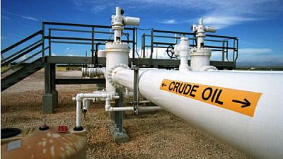Nigeria may review oil prices if crude continues to fall