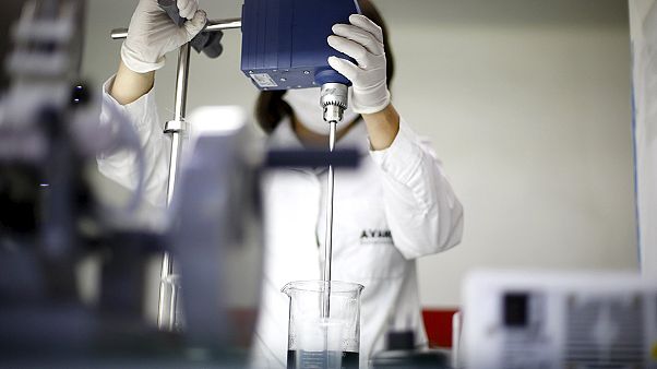 Zika, c'è un indizio del legame con la microcefalia Zika, c'è un indizio del legame con la microcefalia
