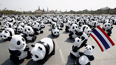 Tailândia: "Pandamónio"!