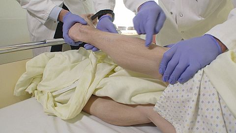 From pig gut to 3D printing - the fascinating science behind tailor-made bones