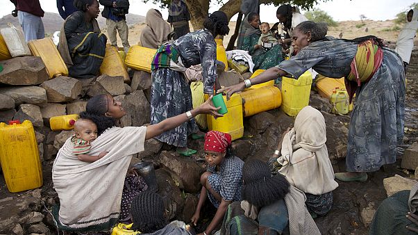 Sécheresse en Éthiopie : 10 millions de personnes en danger de famine (FAO) Sécheresse en Éthiopie : 10 millions de personnes en danger de famine (FAO)