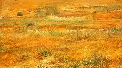 نمایشگاه «در این زیر، زمین سرد آرمیده است» از دو هنرمند ایرانی