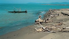 Image: Caravaggio is believed to have died on Feniglia beach in Tuscany