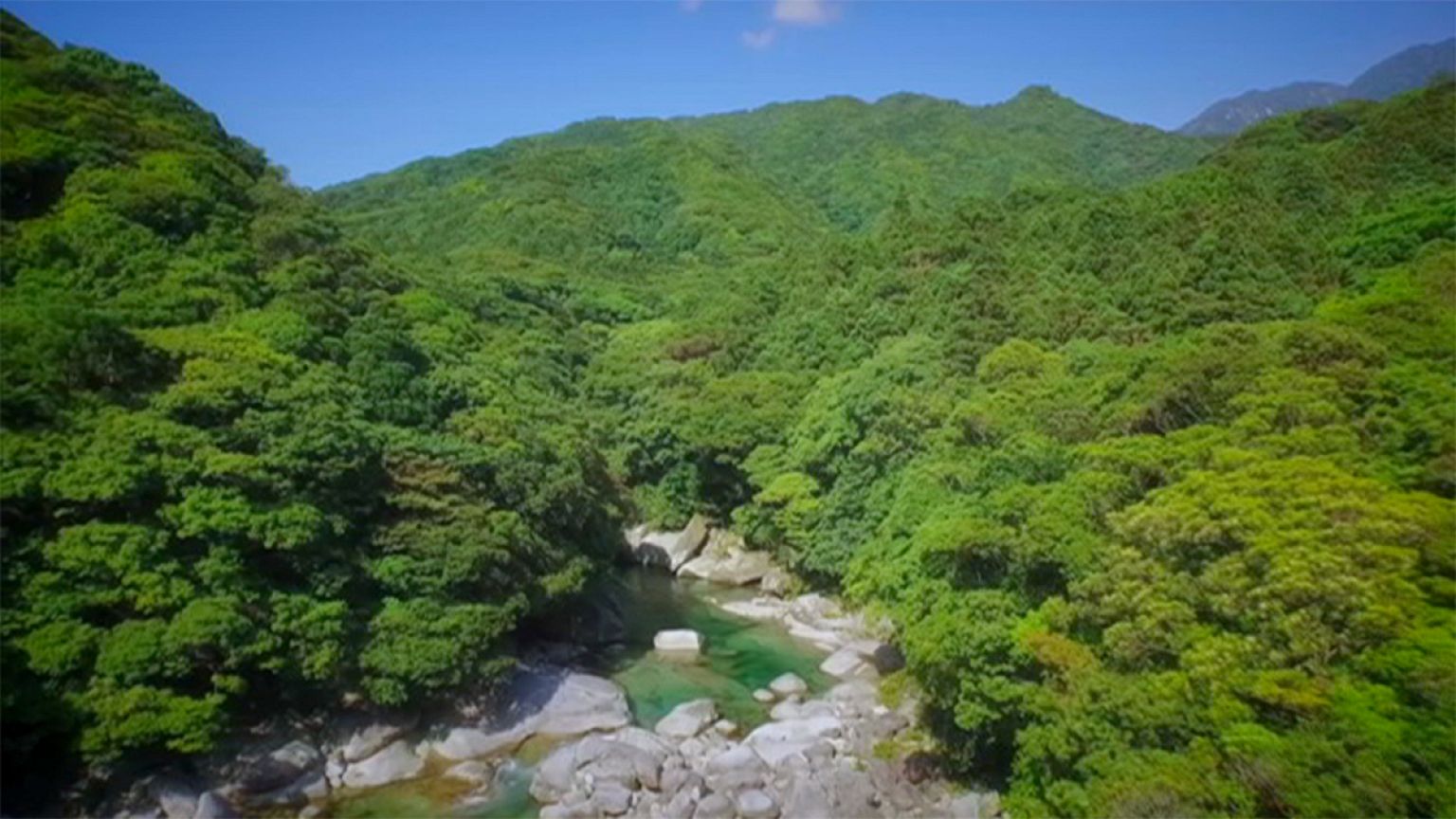Japonya'nın cennet köşesi: Yakushima Adası