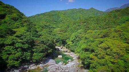 Postcards from Japan: Hiking on Yakushima island