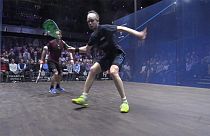 Squash: Was für ein Ballwechsel