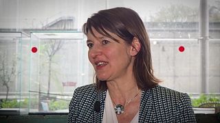 Christine Detrez et les inégalités liées au genre Christine Detrez et les inégalités liées au genre