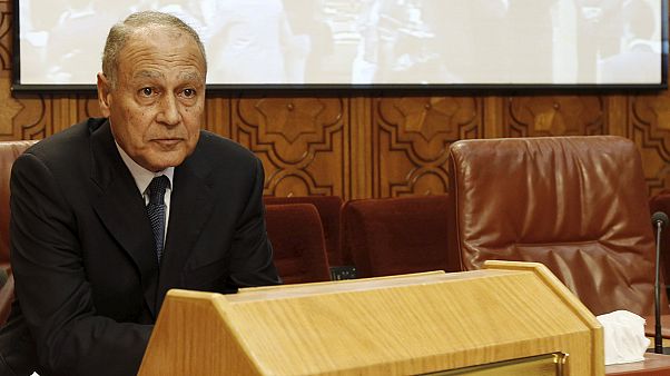 Último MNE de Mubarak eleito secretário-geral da Liga Árabe Último MNE de Mubarak eleito secretário-geral da Liga Árabe