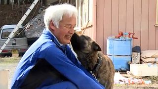 5 Jahre nach Fukushima: Herr Matsumura füttert die Tiere