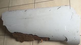 Possible MH370 debris found by holidaying teen in Mozambique