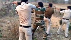 India: a bear shot by authorities