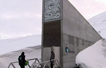 خزانه جهانی برای نگهداری بذرهای کشاورزی در قطب شمال