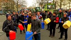 Bauern demonstrieren in Brüssel gegen Milchpreise