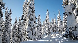 Finlande : mieux réagir aux conditions climatiques extrêmes