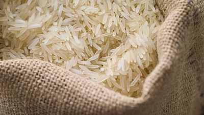 Egypt clamps down on rice hoarders