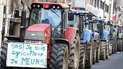 Belgische Bauern protestieren in Brüssel