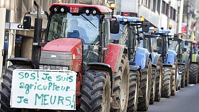 Belgische Bauern protestieren in Brüssel