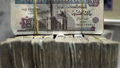 Egypt devalues currency in bid to alleviate dollar shortage
