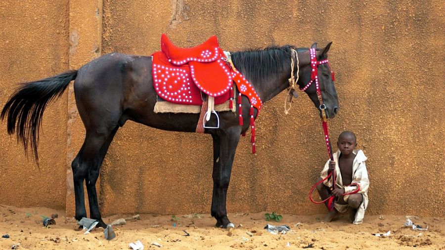 Niger Still Relives Legendary Horse Racing Days Africanews