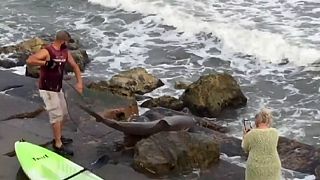 Un pescador estadounidense atrapa un enorme tiburón