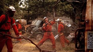 Inmate firefighters clear brush to create a fire break while battling the F