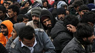 واکنش مهاجران در ایدومنی به حوادث بروکسل