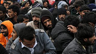 Solidarity for Belgium from migrants at the Idomeni camp in Greece