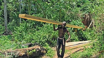 Gabon seeks to industrialize wood industry