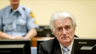 Former Bosnian Serb leader Karadzic sentenced to 40 years for genocide