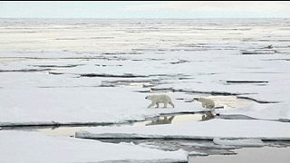 Dem Arktiseis auf der Spur