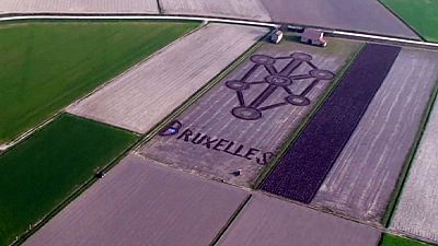 Italienischer Bauer zeigt Solidarität mit Brüssel