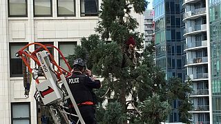 #ManInTree, acusado de asalto en tercer grado