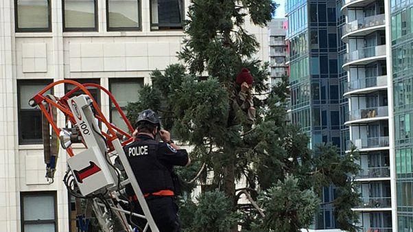 Seattle'ın "Ağaçtaki Adam"ı tutuklandı Seattle'ın "Ağaçtaki Adam"ı tutuklandı