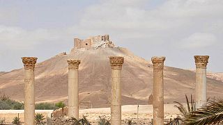 Demining Palmyra - scores of bombs feared hidden in the historic city