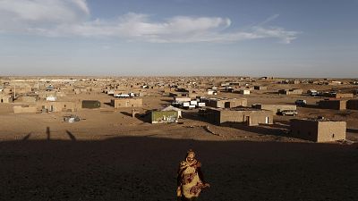 Sahara occidental : Alger demande le soutien de Paris pour l'autodétermination