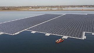 Solar panels take to the water as new farms flourish