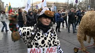 منتجو الألبان يتظاهرون في العاصمة الليتوانية