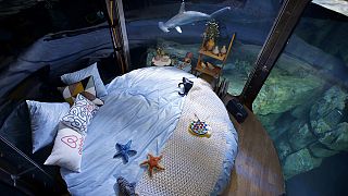Dormir junto a tiburones en París