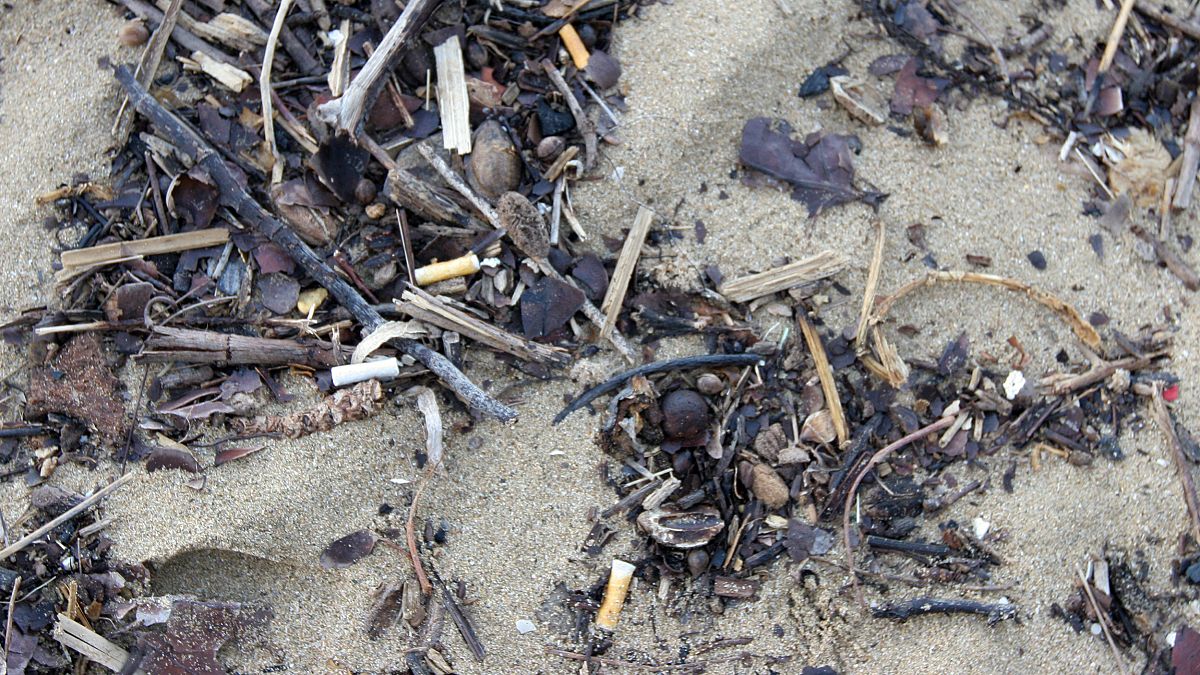 Image: Cigarette butts ocean cleanup