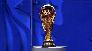 FIFA inspects 2018 World Cup venue at St. Petersburg