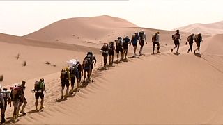 Elrajtolt a 31-ik sivatagi Marathon des Sables